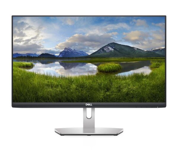 Dell S2421HN 24 Inches Full HD 1080p IPS Panel Monitor